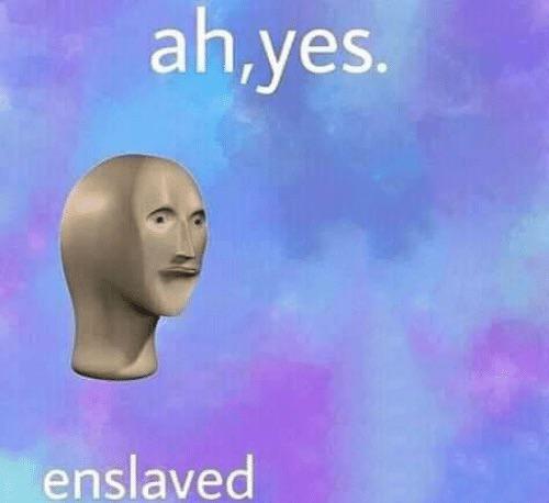 a81t6yqvmvnmqwvyqeqctlux