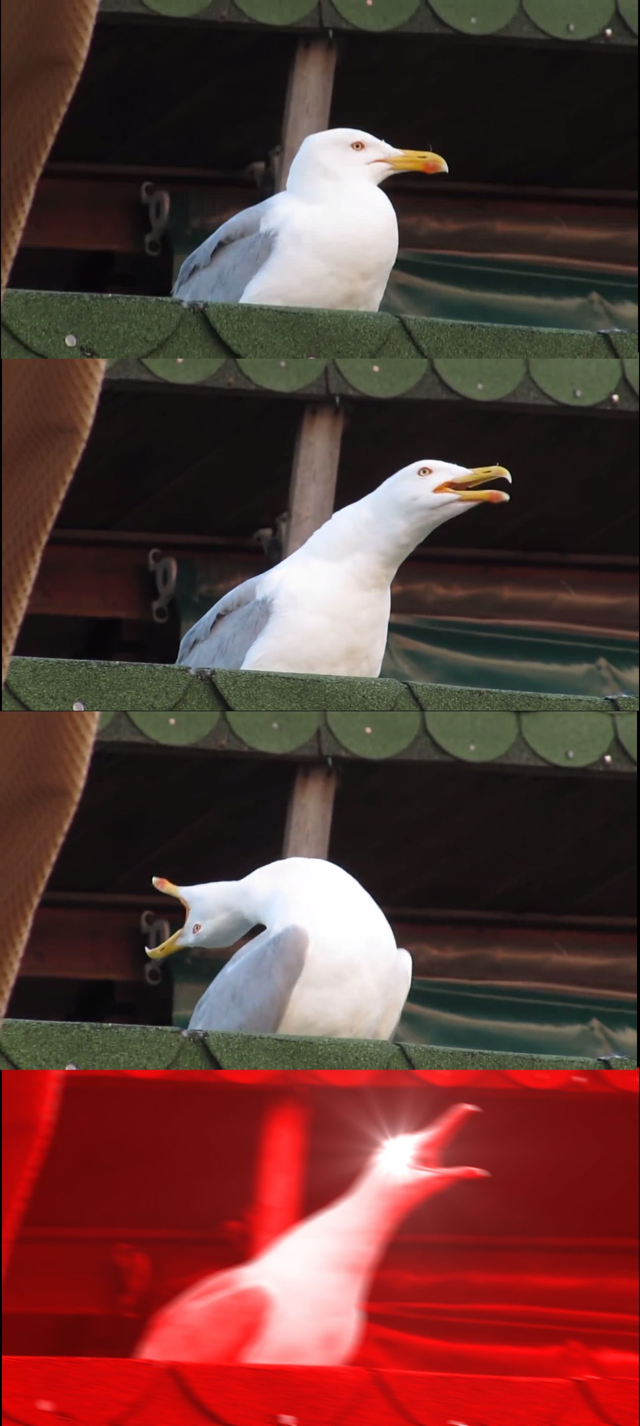 awrg0jf3xo0252iqz8fnwai1