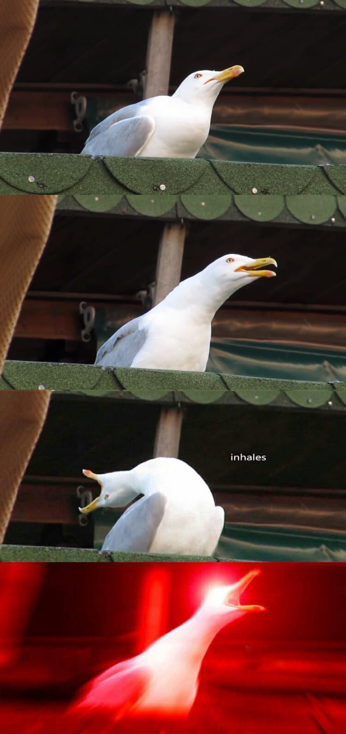 axtknae7daamct2ftv6afz0e