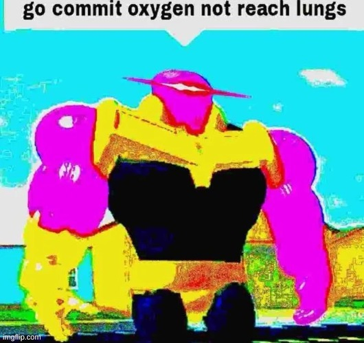 b2zbs5ijdvna4kj4s1xn6g8i