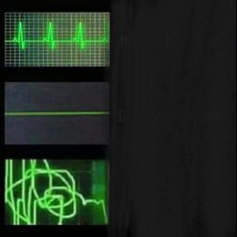 cdx9f5g282vc4uehkk0w984w