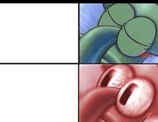cfpmd8gqzpr1bavlwed5bqmx