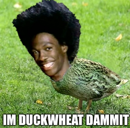 chcizt84ahjrkr7biqhalz0a