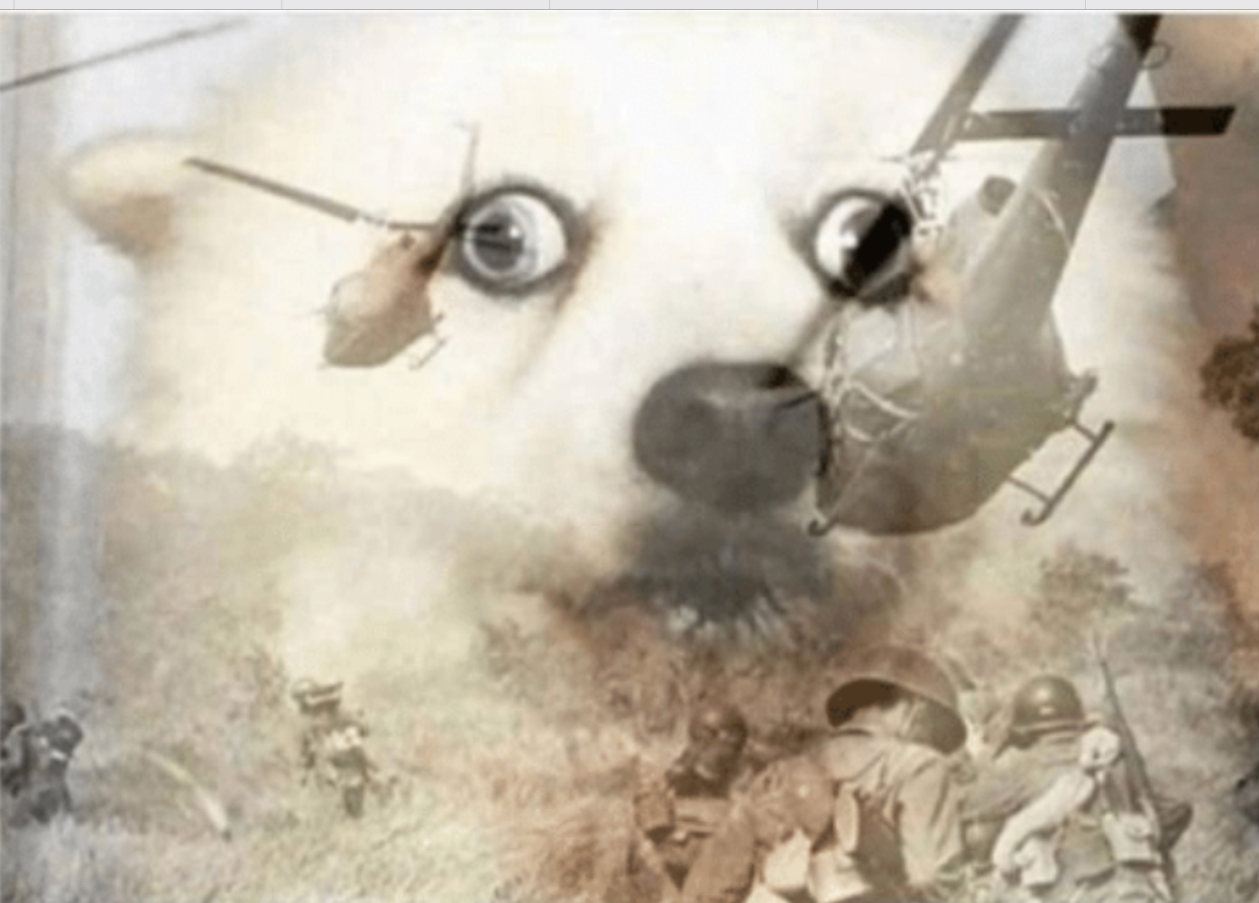 d4xcm2q9fbj7gkycogdz48od