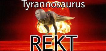 dozro3xfifhvzmvgumkw7re6