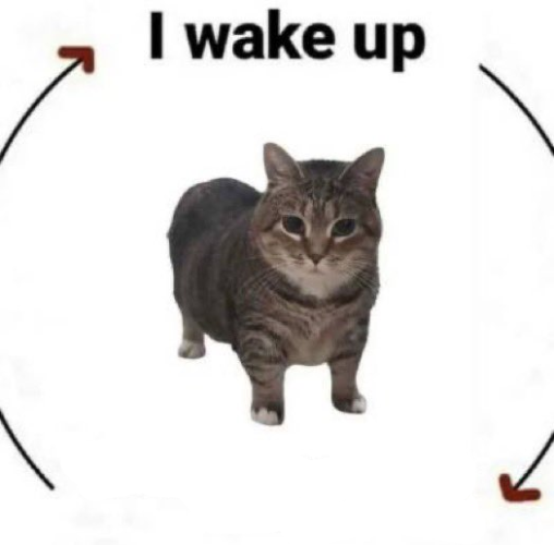 dpqpl41kbnz3a6wqbwerhkq5