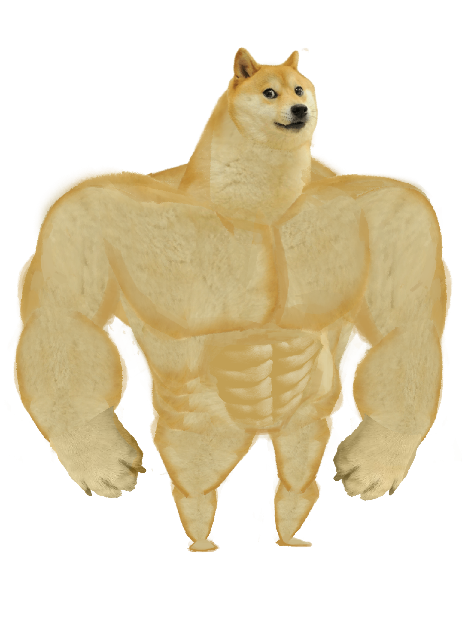 ez9xdh5yw8p4rm3w5hbd1irc