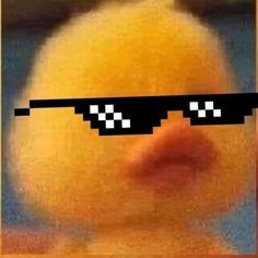 fiuernpl5fsl3sbovu3g9z2b
