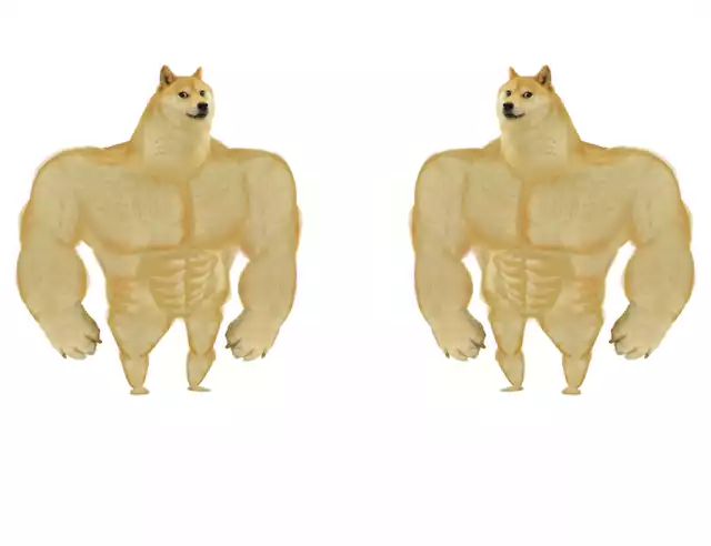 fw0l716uy5hxingvhlo3ifk7