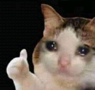 gl5axjc3yup2t2qat2ei8duo