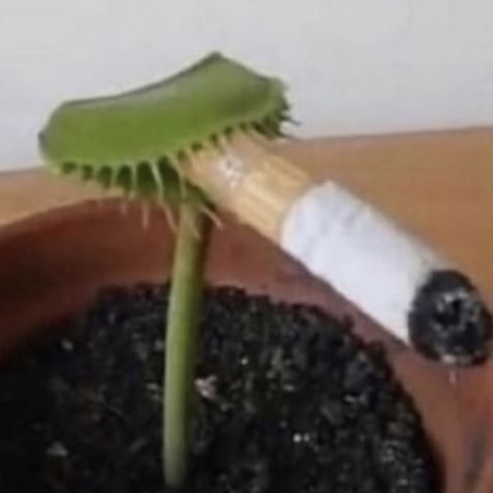hvhn8ojvtvha0yjgr2rnjq8t