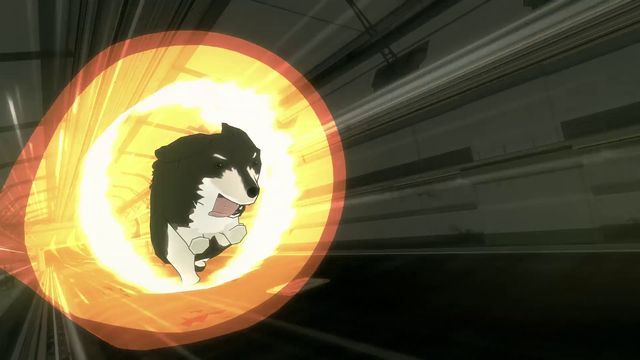 ijtagxjjow41gmlbfsp8dxf0