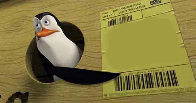 it9pmbhqr7bpc2qjtjhe7gnu