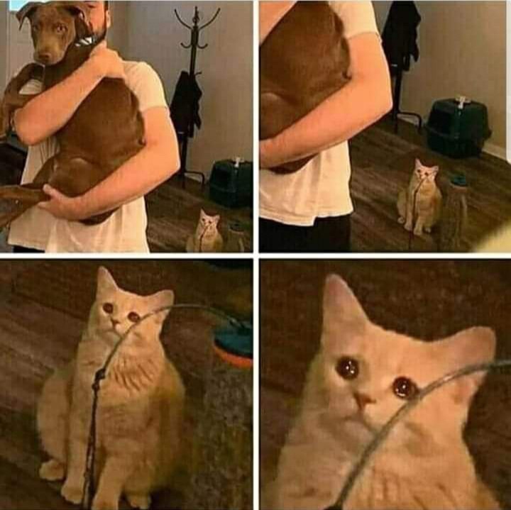 j1d438nptlmcrler6abxe1ow