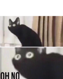 jf8le4kf9hj3p66t75ncy267