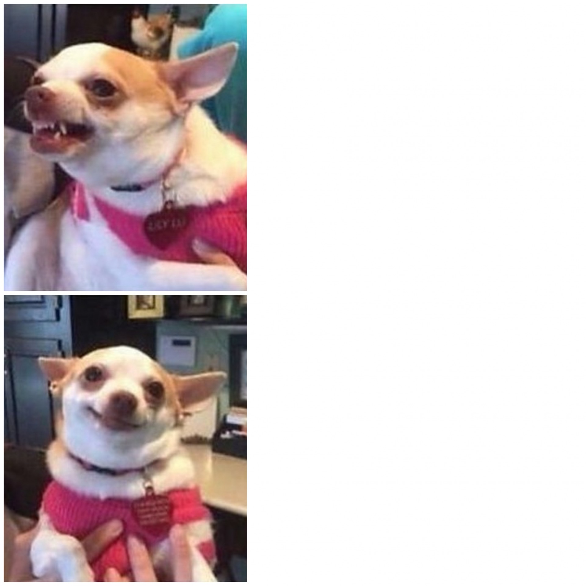 jkotelct1o8g2ib3shdqkqrl