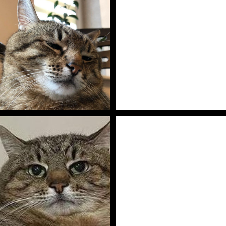 kcyqrvwo8edqm29wdyftlo6g