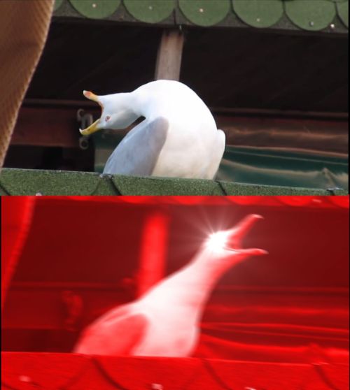kq9y6fvfd7dgxi6k3e1qq2z2