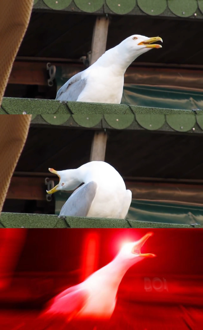 lu8q8s2lelxwbux1yb9jfyyd