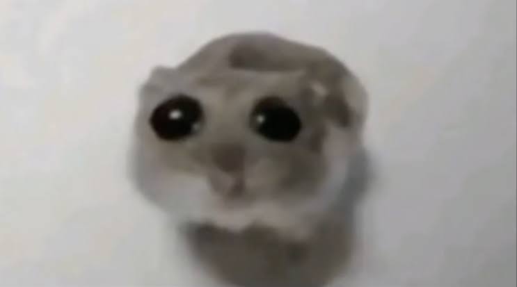 m0d5tin46gfqbfcyi03rha01
