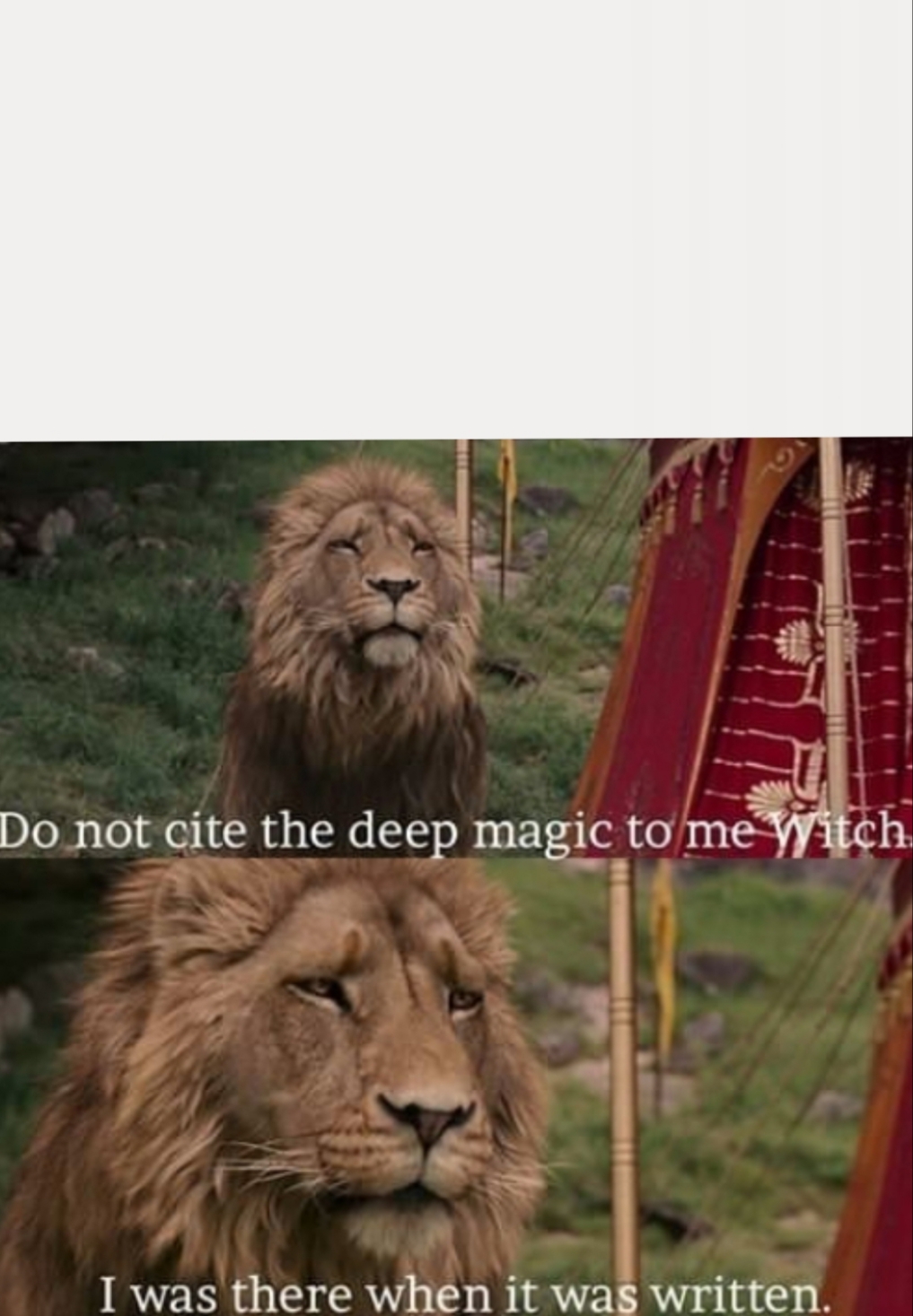m0tagn66m8joibwkdecj7pj6