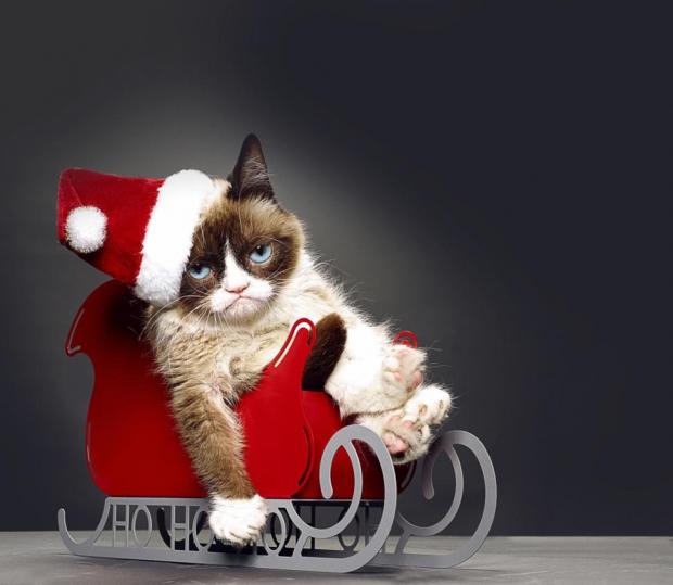 m7t6kk3ycallbg2pl921hs3t