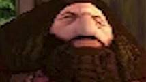 mrhchwg5thaip63jsqs2g6w9