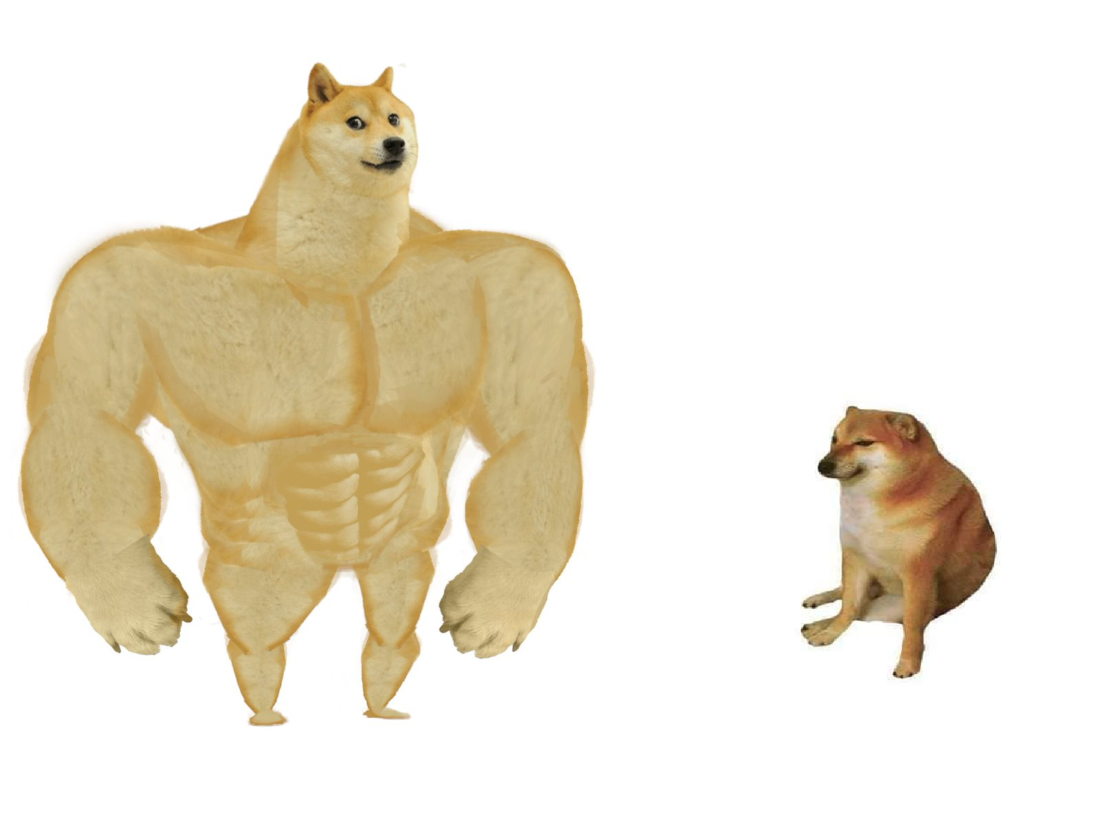 n2osy50rtbwt76tdxowz9jth