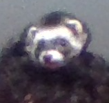 n7zcd5j8q698bga43phxffzz