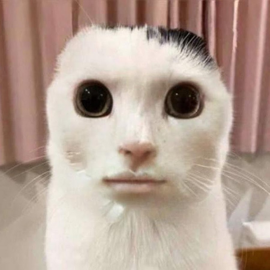 nyh3uamef9xyacmxeahze834