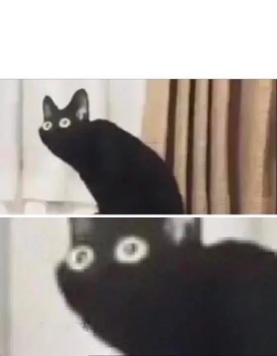 oa6pdnce6brrfgdllc50u8iu