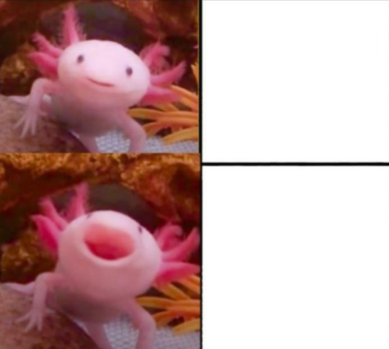 onmhdj63b2hvq66nfy6nhlkp
