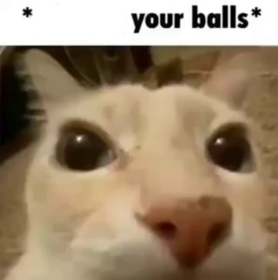pxw7f6mkhpaq1zi8p1p62ong