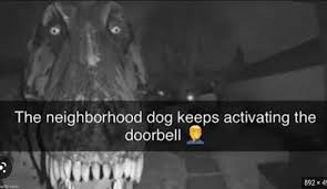 q7smriauhfxtnqlv7xrkjadt
