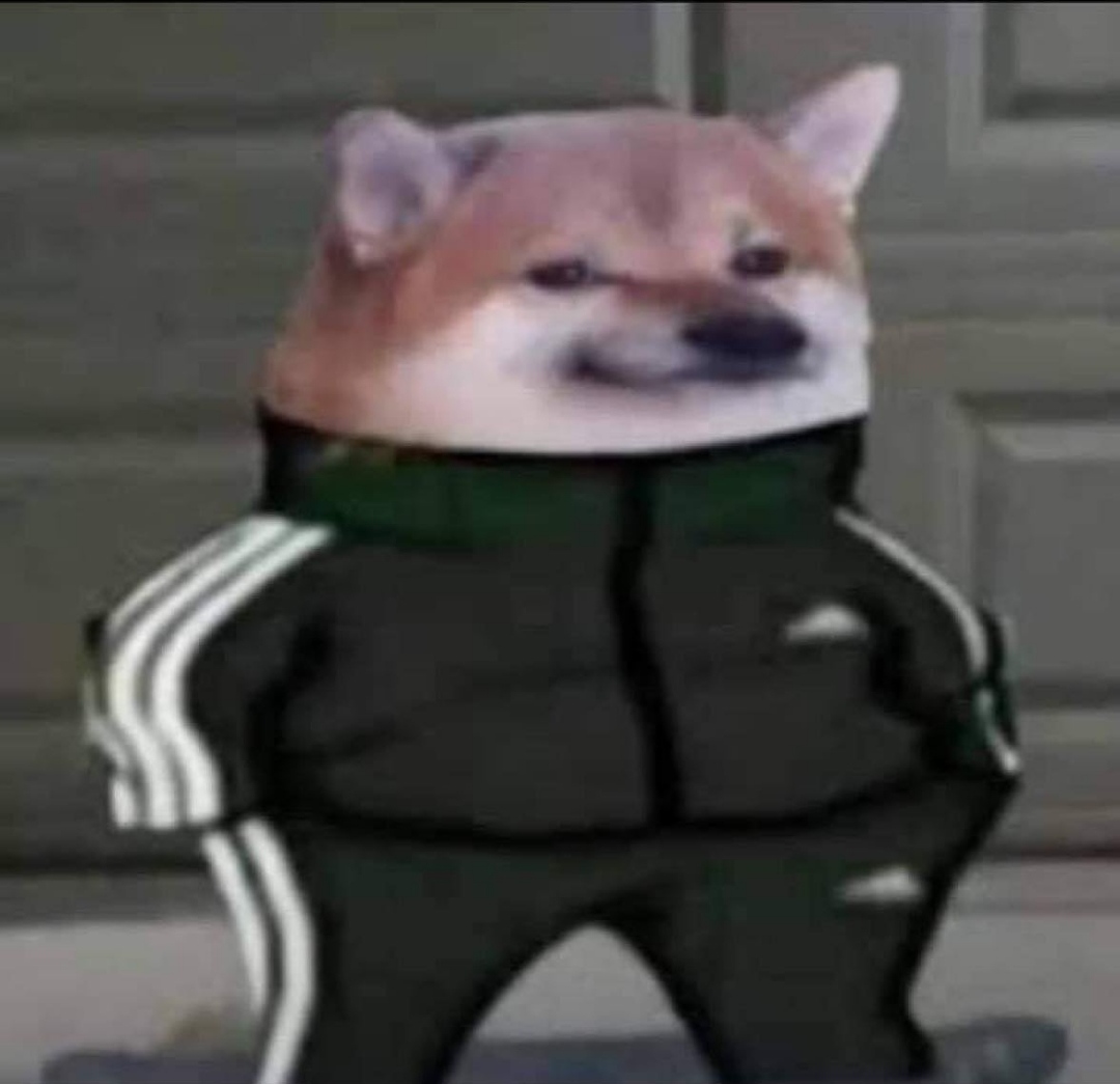 qxe726vddwo1bqurkczlr9vt