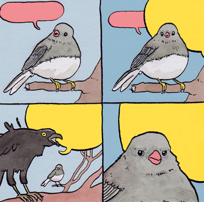 r8rkejxwgk7vijp2fzgdsxqv