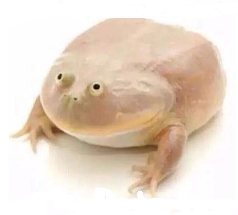 rfqzhchgn2eb9q9npgrv0yur
