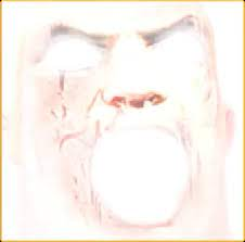 ri36s3psmp6h2zql67btufio