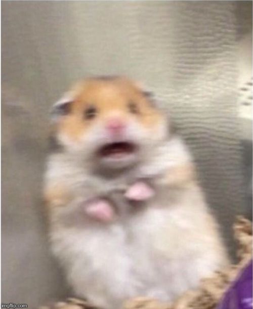 t4srzg5dbghylfbhnc57p8oa