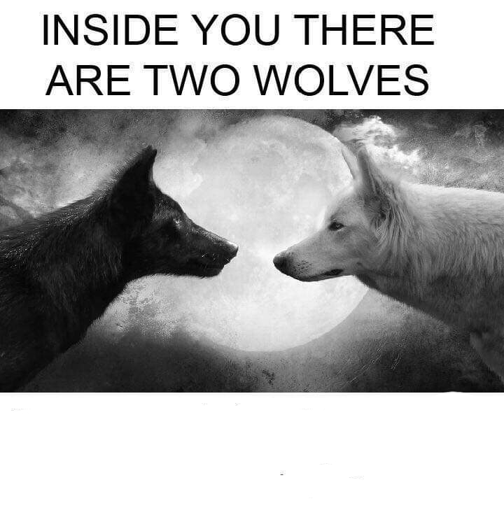 taq4s8l7s9o0y9wzlsrxpn1d