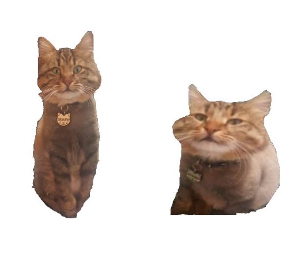 tt5wwkfkywuckm6rxzlsz12o