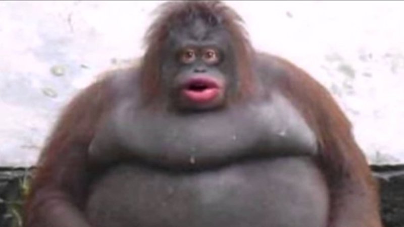 uhge1tkgmskpoxqmnajacxfa