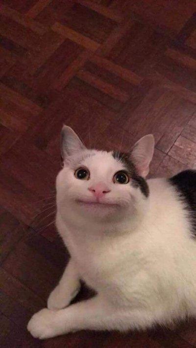 vd02s7mhjvtiaceeygkk97dt