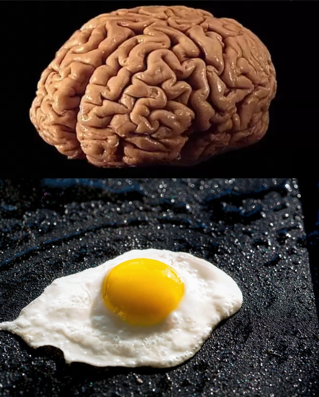 vedozqf9myn0u55nnuh6al9a