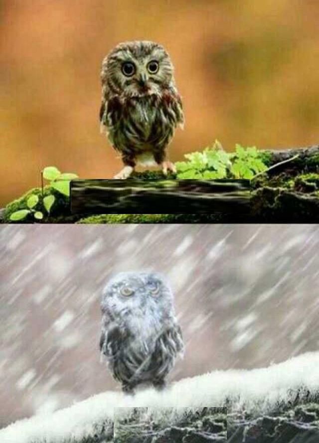 vzcw7ixeeeelb41pr9okwbor