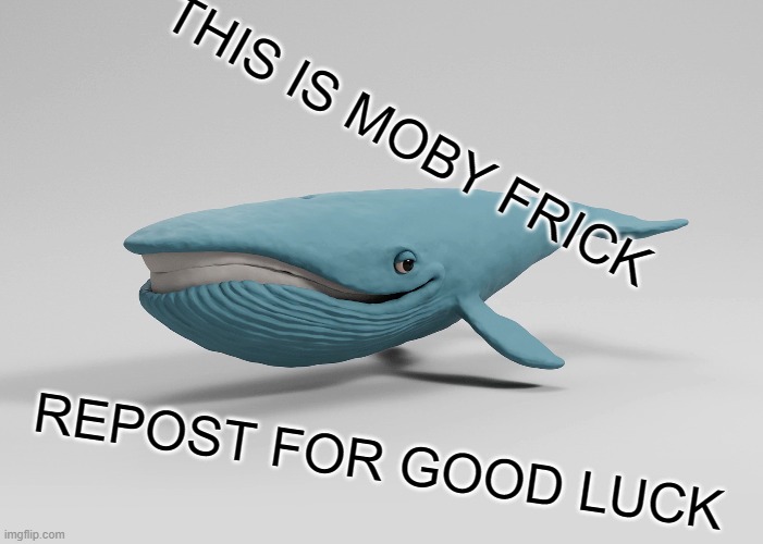 wlppubzq1lvocljiq4amo8ec