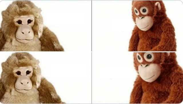 wnzit3aywuonoudafo6j0k39