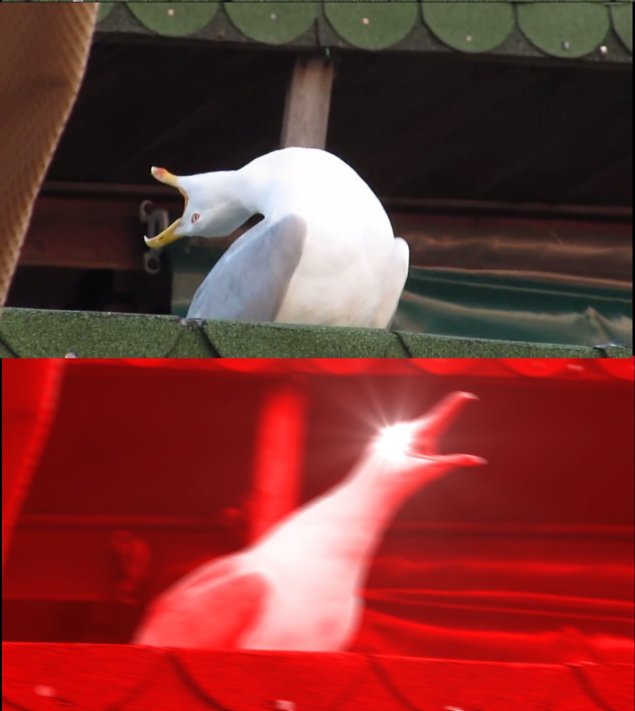 wob4g3n1vrrcz7v18crvb3il