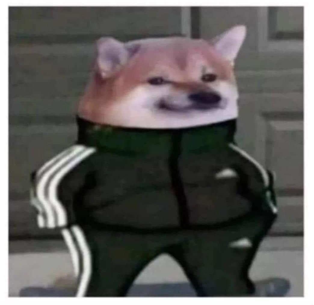 yf6l7i5zpzmkruvqa88i0jz7