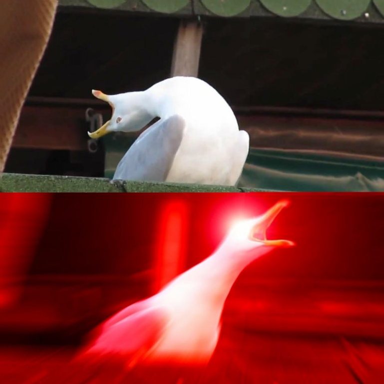 yshlph7vbs5j63hm99z4dxaj